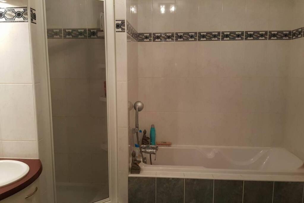 Superbe Duplex Au Nouveau Bassin Avec Vue Superbe Mulhouse Exterior foto