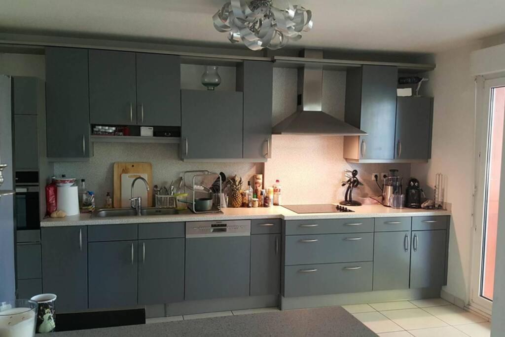 Superbe Duplex Au Nouveau Bassin Avec Vue Superbe Mulhouse Exterior foto